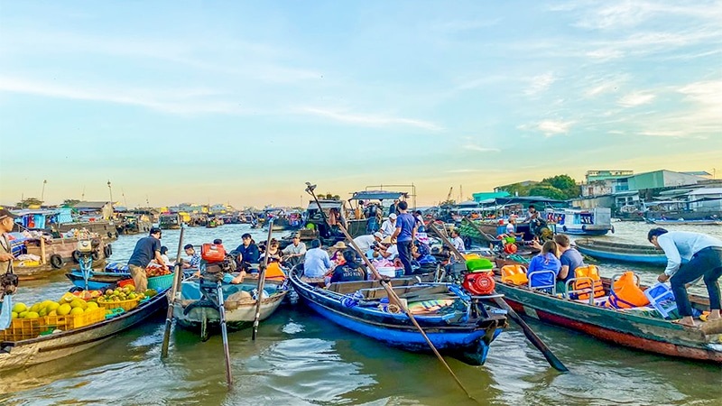 Mekong Delta Tour Experience the Best of Southwest Vietnam