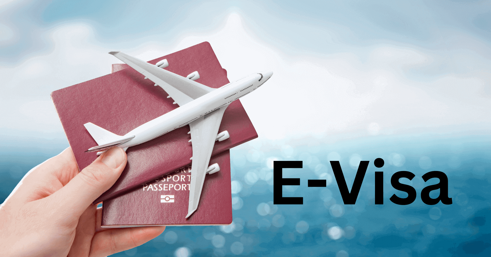 Navigating Borders - Visa Solutions for Vietnamese Expats Abroad