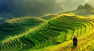 navigating the process for a vietnam visa for irish citizens a comprehensive guide 6a49bcc644cb3